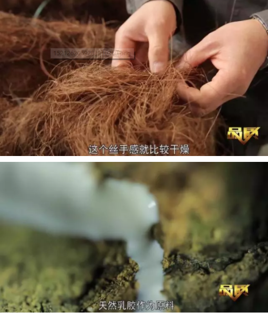 CCTV《品质》栏目 “大自然棕床垫—回归自然”
